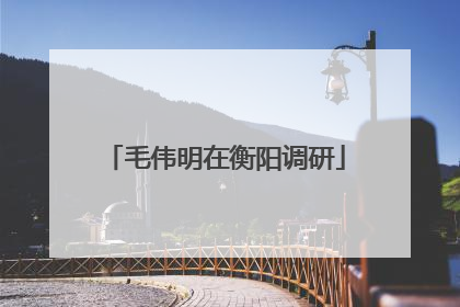 毛伟明在衡阳调研