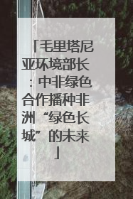 毛里塔尼亚环境部长：中非绿色合作播种非洲“绿色长城”的未来