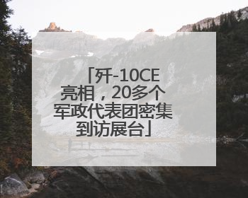 歼-10CE亮相，20多个军政代表团密集到访展台