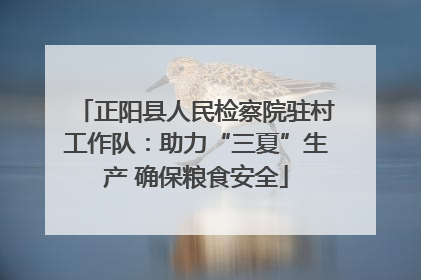 正阳县人民检察院驻村工作队：助力“三夏”生产 确保粮食安全