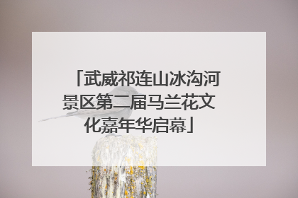 武威祁连山冰沟河景区第二届马兰花文化嘉年华启幕