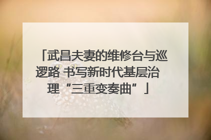 武昌夫妻的维修台与巡逻路 书写新时代基层治理“三重变奏曲”