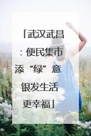 武汉武昌：便民集市添“绿”意 银发生活更幸福