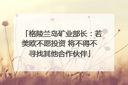 格陵兰岛矿业部长：若美欧不愿投资 将不得不寻找其他合作伙伴