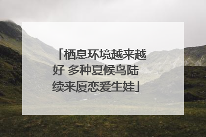 栖息环境越来越好 多种夏候鸟陆续来厦恋爱生娃