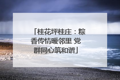 桂花坪桂庄：粽香传情暖邻里 党群同心筑和谐