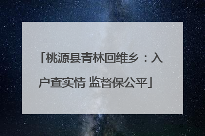 桃源县青林回维乡：入户查实情 监督保公平