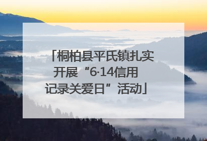 桐柏县平氏镇扎实开展“6·14信用记录关爱日”活动
