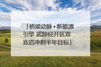 桥梁动脉+新能源引擎 武陟经开区双赛道冲刺半年目标