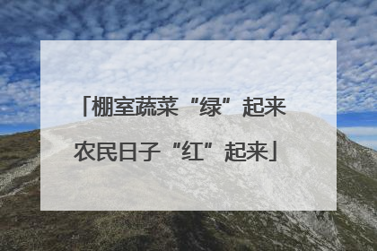 棚室蔬菜“绿”起来 农民日子“红”起来