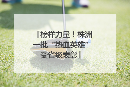 榜样力量！株洲一批“热血英雄”受省级表彰