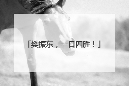 樊振东，一日四胜！