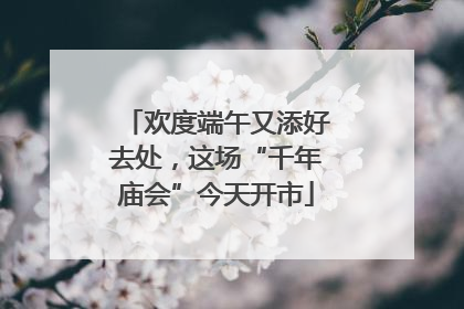 欢度端午又添好去处，这场“千年庙会”今天开市