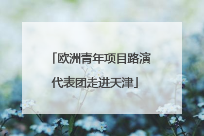 欧洲青年项目路演代表团走进天津