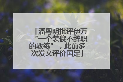 潘粤明批评伊万“一个装傻不辞职的教练”，此前多次发文评价国足