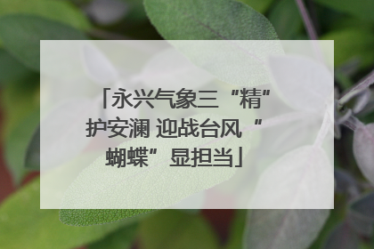 永兴气象三“精”护安澜 迎战台风“蝴蝶”显担当