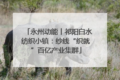 永州动能丨祁阳白水纺织小镇：纱线“织就”百亿产业集群