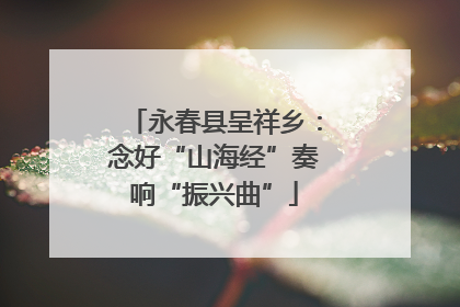 永春县呈祥乡：念好“山海经”奏响“振兴曲”