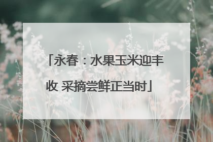 永春：水果玉米迎丰收 采摘尝鲜正当时