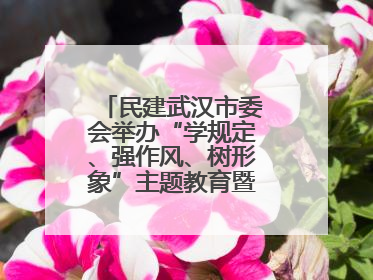 民建武汉市委会举办“学规定、强作风、树形象”主题教育暨参政议政能力素质提升培训班