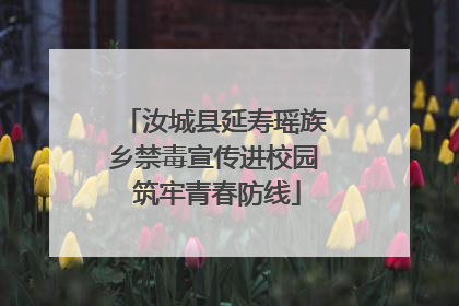 汝城县延寿瑶族乡禁毒宣传进校园 筑牢青春防线