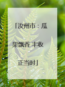汝州市：瓜果飘香 丰收正当时