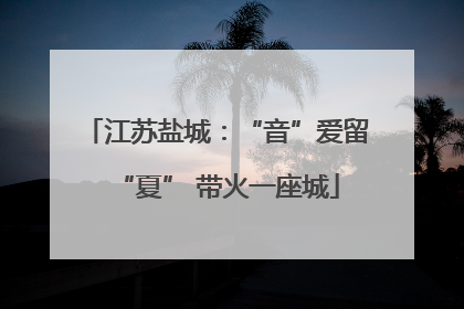 江苏盐城：“音”爱留“夏” 带火一座城