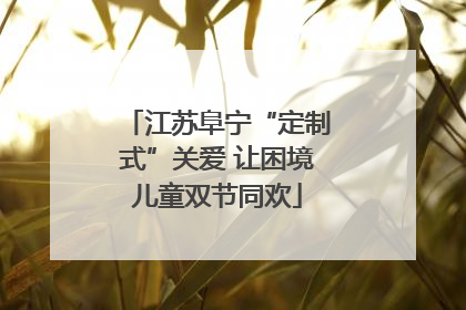 江苏阜宁“定制式”关爱 让困境儿童双节同欢