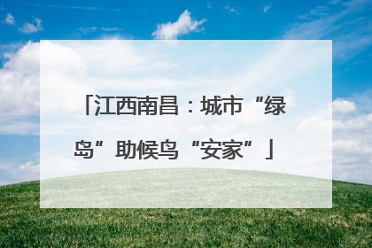 江西南昌：城市“绿岛”助候鸟“安家”