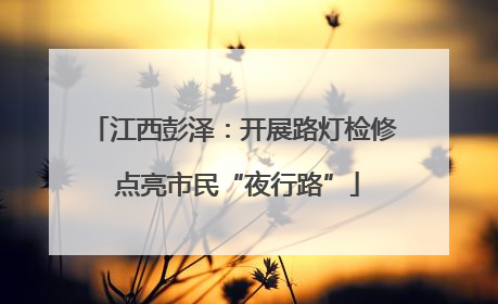江西彭泽：开展路灯检修 点亮市民“夜行路”
