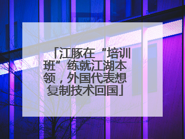 江豚在“培训班”练就江湖本领，外国代表想复制技术回国