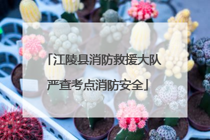 江陵县消防救援大队严查考点消防安全