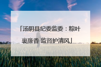 汤阴县纪委监委：粽叶裹廉香 监督护清风