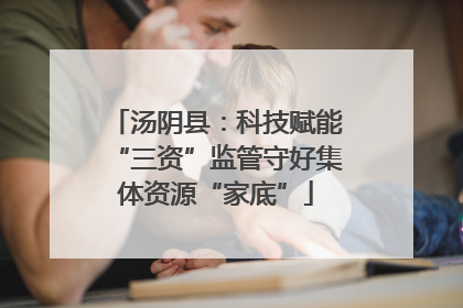 汤阴县：科技赋能“三资”监管守好集体资源“家底”