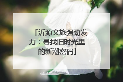 沂源文旅强劲发力：寻找旧时光里的新潮密码