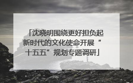 沈晓明围绕更好担负起新时代的文化使命开展“十五五”规划专题调研