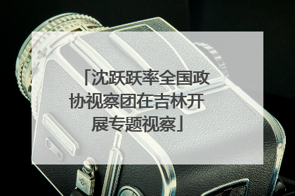 沈跃跃率全国政协视察团在吉林开展专题视察