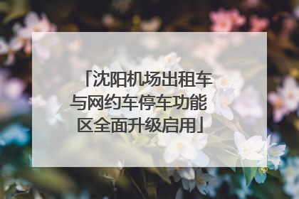 沈阳机场出租车与网约车停车功能区全面升级启用