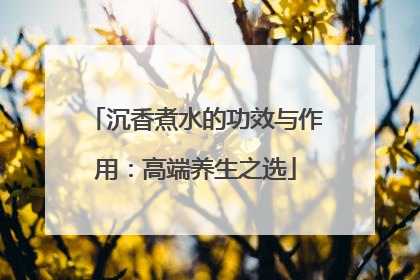 沉香煮水的功效与作用：高端养生之选