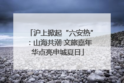 沪上掀起“六安热”：山海共潮 文旅嘉年华点亮申城夏日