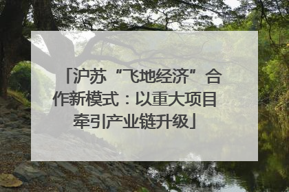 沪苏“飞地经济”合作新模式：以重大项目牵引产业链升级