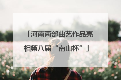 河南两部曲艺作品亮相第八届“南山杯”