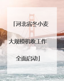 河北省冬小麦大规模机收工作全面启动