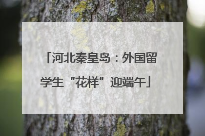 河北秦皇岛：外国留学生“花样”迎端午
