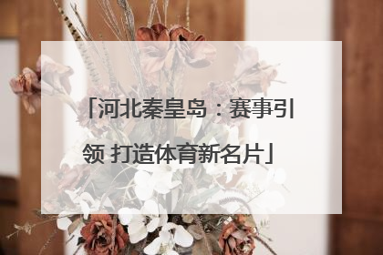 河北秦皇岛：赛事引领 打造体育新名片