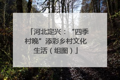 河北定兴：“四季村晚”添彩乡村文化生活（组图）