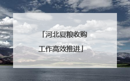河北夏粮收购工作高效推进