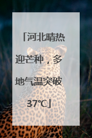河北晴热迎芒种，多地气温突破37℃