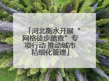 河北衡水开展“网格徒步踏查”专项行动 推动城市精细化管理