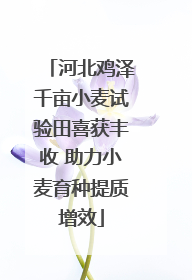 河北鸡泽千亩小麦试验田喜获丰收 助力小麦育种提质增效
